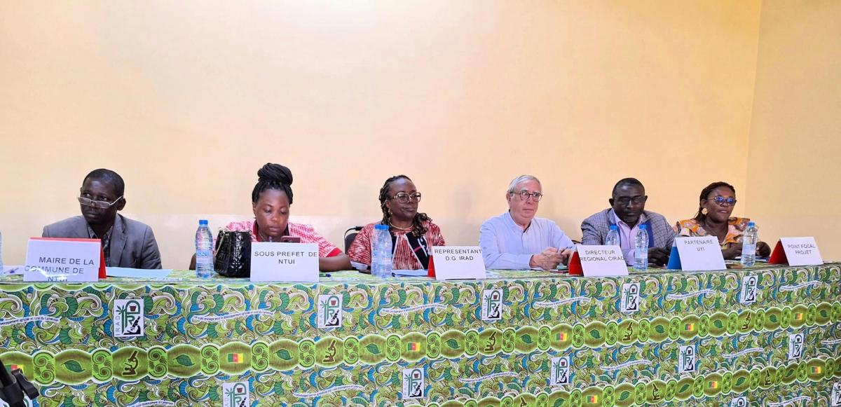 Présidium de la cérémonie de lancement du projet LVAD à Ntui